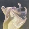 olfaction